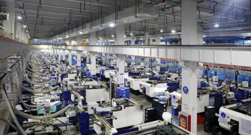 山東經(jīng)濟強在哪兒 通過這些關鍵詞 看山東如何 挑大梁