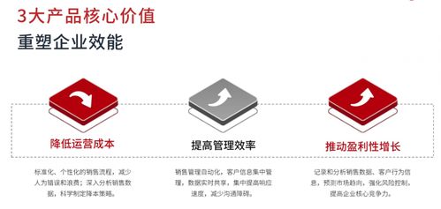 同心雁s erp 破解銷售型企業(yè)管理痛點(diǎn)的一體化解決方案